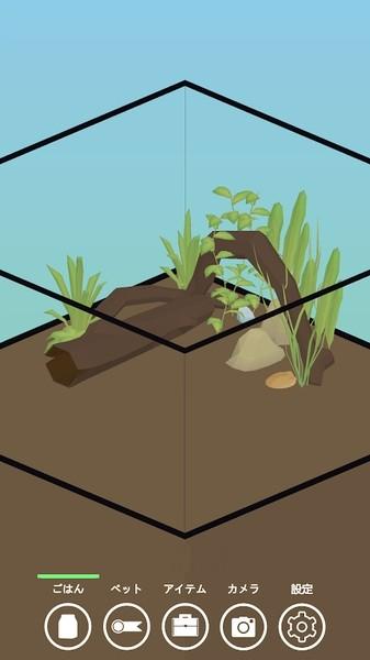 青蛙生活汉化版