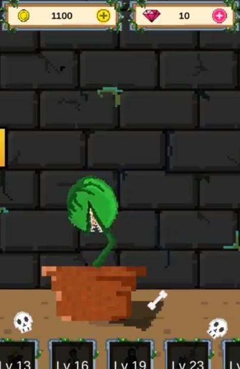 饥饿的植物安卓版下载