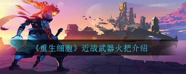 重生细胞火把厉害吗