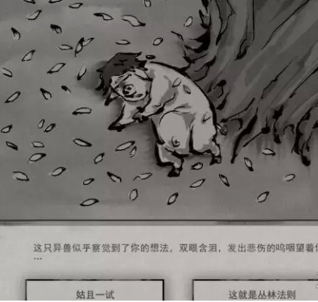 鬼谷八荒奇遇任务攻略大全，全奇遇任务选择流程图文汇总图片15
