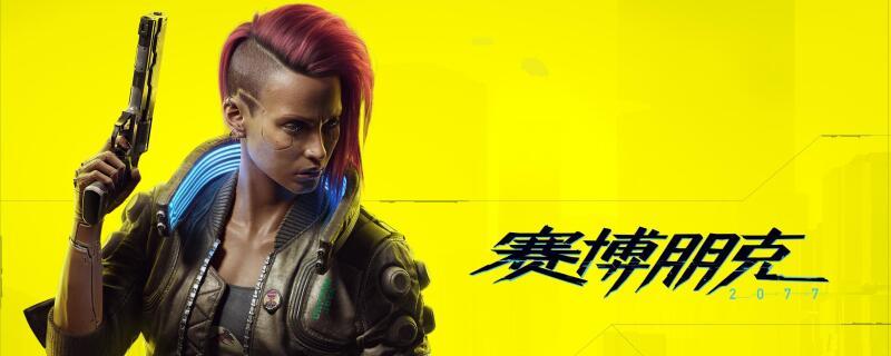 赛博朋克2077武器等级