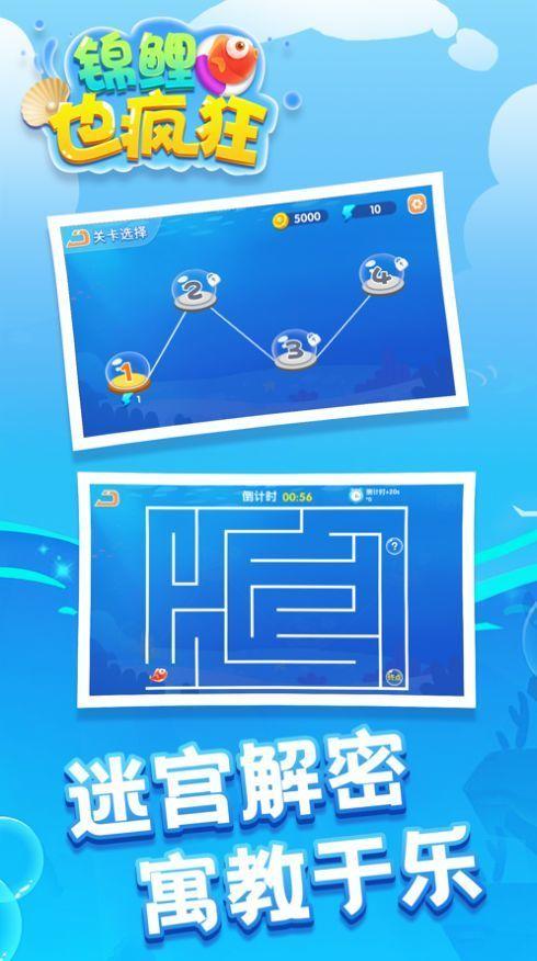 锦鲤也疯狂红包版