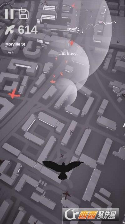 鸽子爱情故事(Pigeon A Love Story)