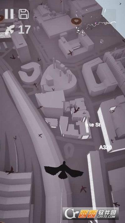 鸽子爱情故事(Pigeon A Love Story)