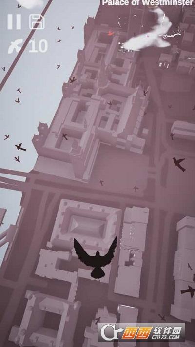 鸽子爱情故事(Pigeon A Love Story)