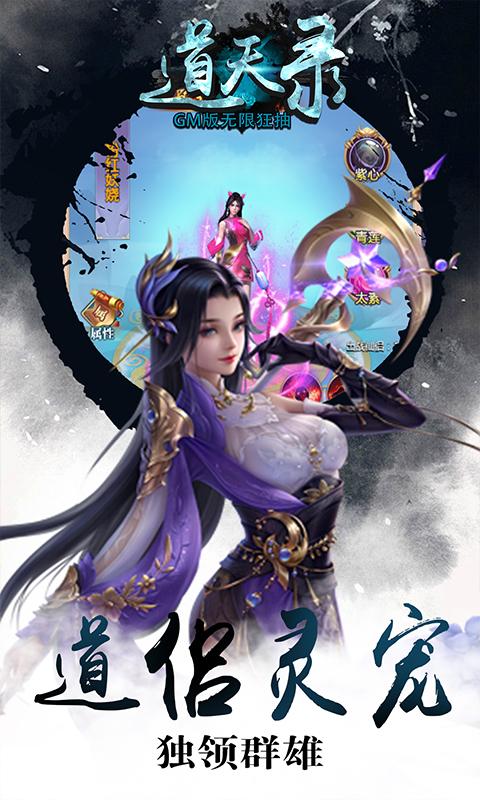 道天录无限金币版