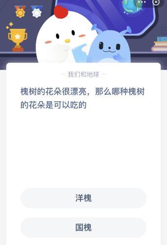 槐树的花朵很漂亮，那么哪种槐树的花朵是可以吃的？