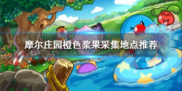 摩尔庄园手游橙色浆果在哪采 橙色浆果采集地点推荐