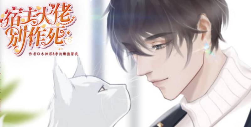 快穿宿主大佬别作死