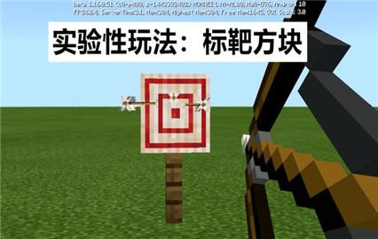 我的世界1.16版