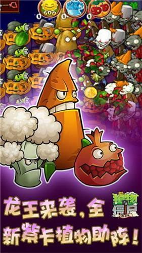 植物大战僵尸忍者版