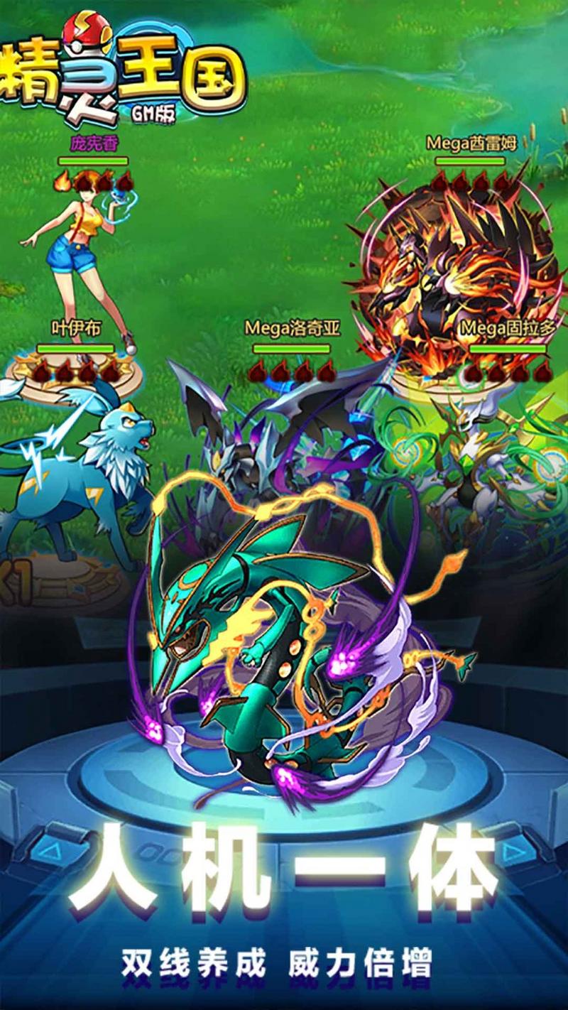 精灵王国满V版