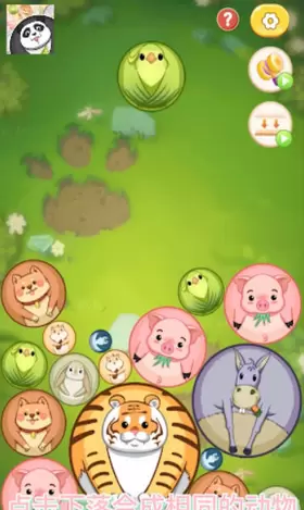 合成大熊猫红包版