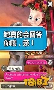 会说话的汤姆猫中文版