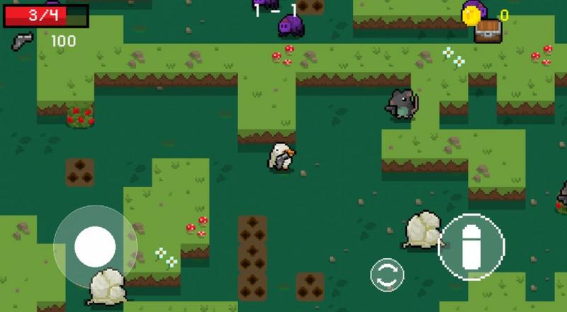 小鸟与黑暗森林