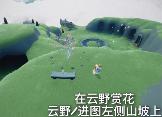 光遇4.25任务怎么做？4月25日任务图文攻略图片3