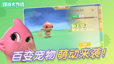 球球大作战驯龙团