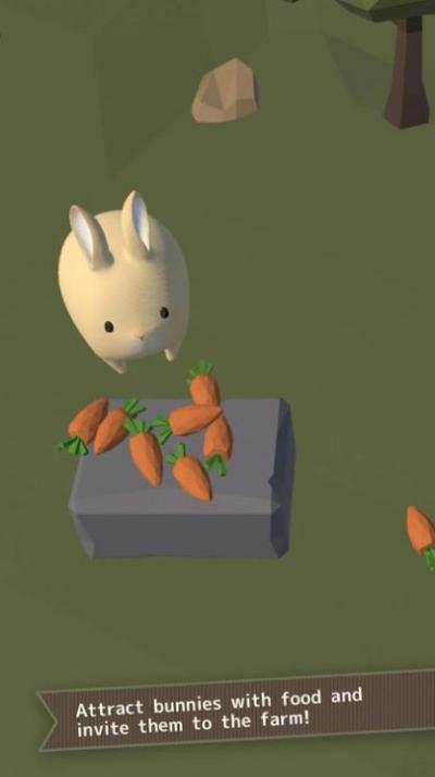 兔子真是太可爱了2