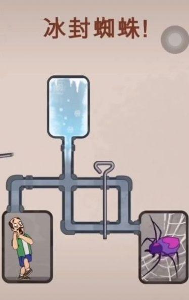 冷冻蜘蛛挑战
