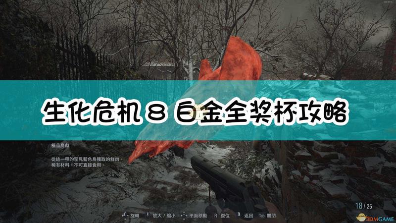生化危机8：村庄白金全奖杯攻略