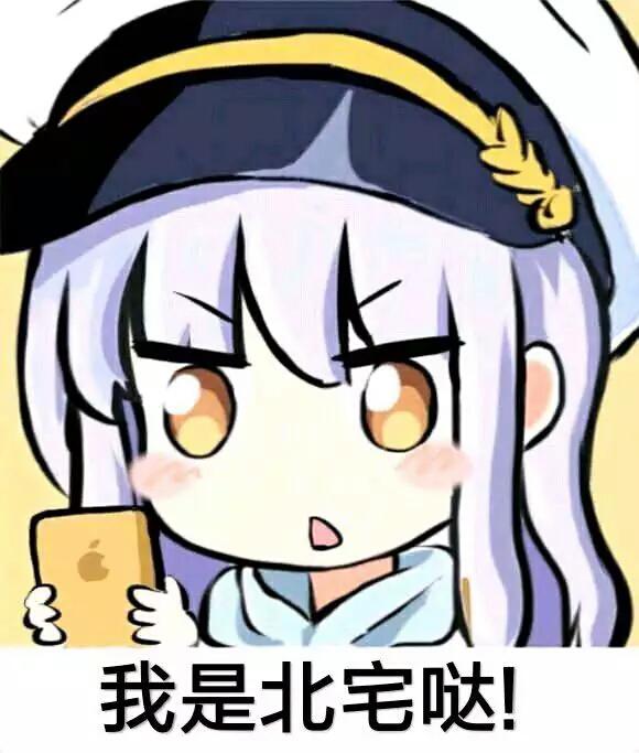 菜鸟下载4