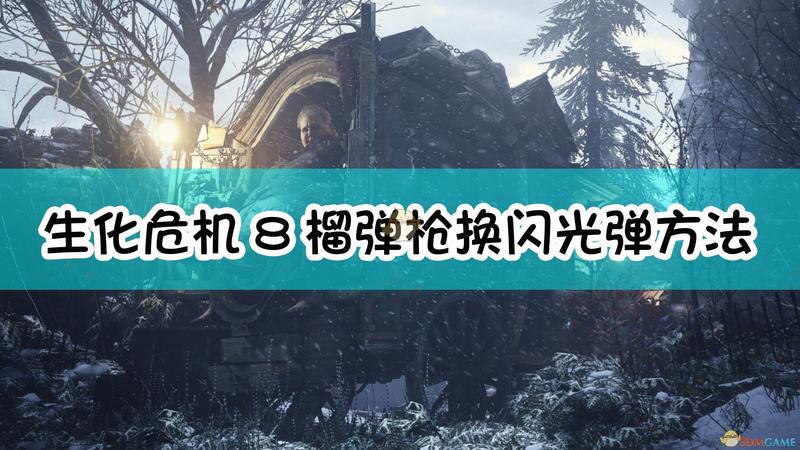生化危机8：村庄榴弹枪换闪光弹方法介绍