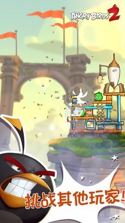 愤怒的小鸟22.52.1