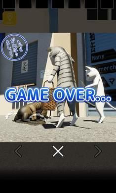 猫咪大人和出局者逃脱