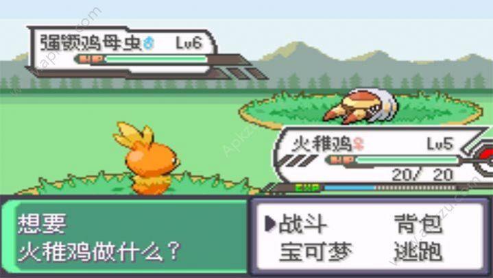 口袋妖怪究极绿宝石