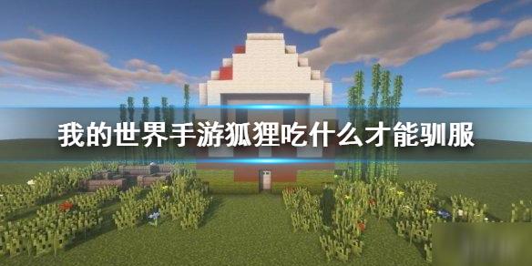 菜鸟下载1