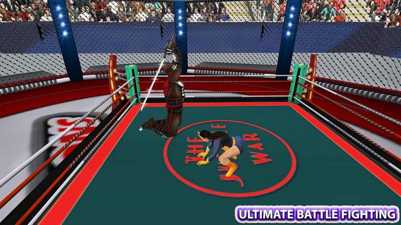 忍者机器人格斗 