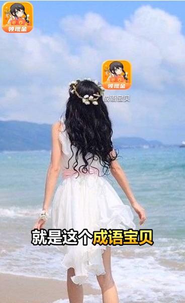 成语宝贝安卓版