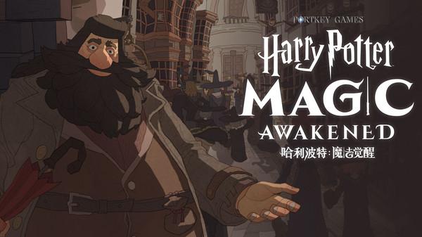 哈利波特魔法觉醒入学预备测试