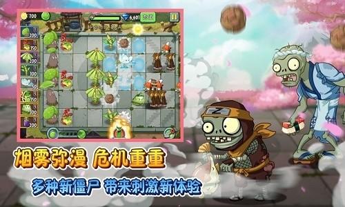 pvz95版