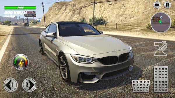 驾驶赛车中文版