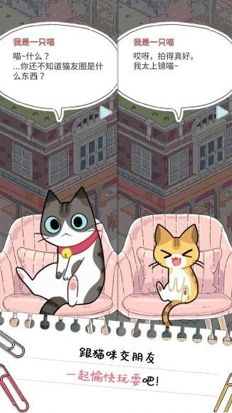 猫友圈猫咪的旅行