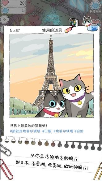 猫友圈猫咪的旅行