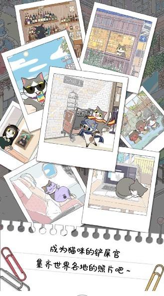 猫友圈猫咪的旅行