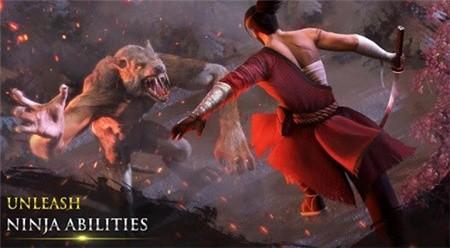 忍者武士隆破解版