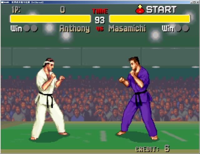 世界武术格斗比赛无敌版