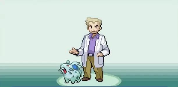 口袋妖怪暗之冰花完整版