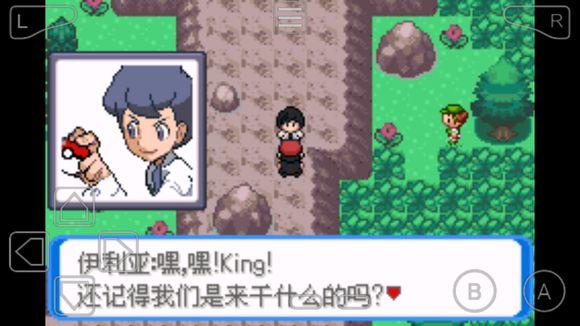 口袋妖怪决心中文版