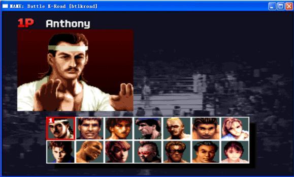 世界武术格斗比赛