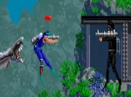 霹雳大白鲨日版