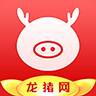龙猪网