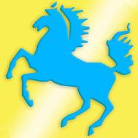 天码辅助(关网)