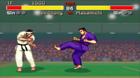 世界武术格斗比赛摔不死版