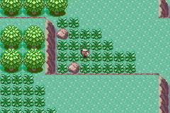 口袋妖怪蓝安卓版