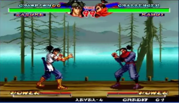 霸王忍法贴安卓版