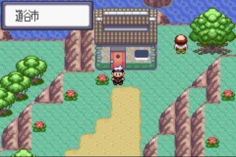 口袋妖怪蓝宝石作弊版